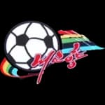 Naegohyang FC
